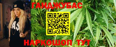 Альфа ПВП Пушкино