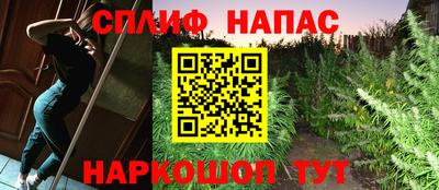 Альфа ПВП Пушкино